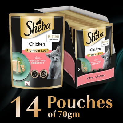 View product image 2