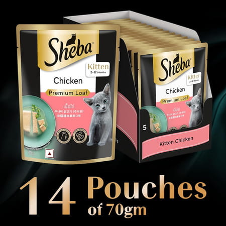 Sheba Fine Premium Kitten (2-12 Months) Wet Cat Food | Chicken Premium Loaf | 14 X 70 G
