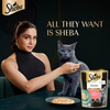 Sheba Fine Premium Kitten (2-12 Months) Wet Cat Food | Chicken Premium Loaf | 14 X 70 G