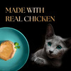 Sheba Fine Premium Kitten (2-12 Months) Wet Cat Food | Chicken Premium Loaf | 14 X 70 G