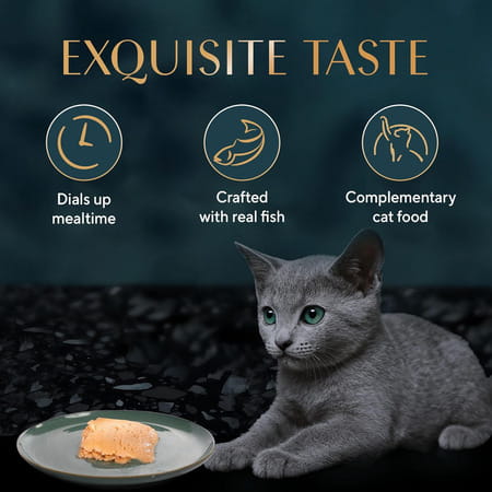 Sheba Fine Premium Kitten (2-12 Months) Wet Cat Food | Chicken Premium Loaf | 14 X 70 G