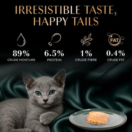 Sheba Fine Premium Kitten (2-12 Months) Wet Cat Food | Chicken Premium Loaf | 14 X 70 G