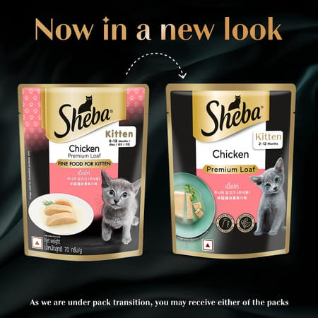 Sheba Fine Premium Kitten (2-12 Months) Wet Cat Food | Chicken Premium Loaf | 14 X 70 G
