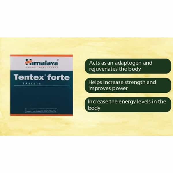 Himalaya Tentex Forte | Tablets | 10 No's (Pack Of 3)