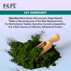 Inlife Spirulina Tablet 2000Mg | Green Superfood Supplement | Protein Fiber Antioxidant - 60 Tablets