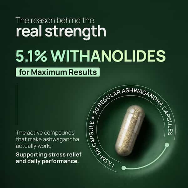 Rasayanam Ashwagandha Ksm-66 Capsules For Stress | Energy & Recovery (180 Capsules | Pack Of 3)