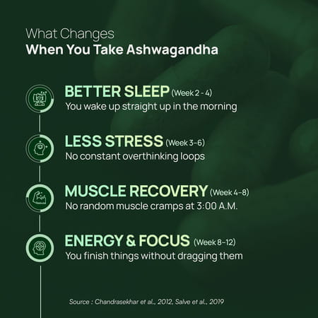 Rasayanam Ashwagandha Ksm-66 Capsules For Stress | Energy & Recovery (180 Capsules | Pack Of 3)