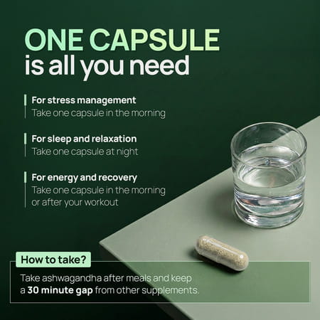 Rasayanam Ashwagandha Ksm-66 Capsules For Stress | Energy & Recovery (180 Capsules | Pack Of 3)