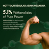Rasayanam Ashwagandha Ksm-66 Capsules For Stress | Energy & Recovery (180 Capsules | Pack Of 3)