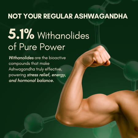 Rasayanam Ashwagandha Ksm-66 Capsules For Stress | Energy & Recovery (180 Capsules | Pack Of 3)