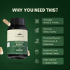 Rasayanam Ashwagandha Ksm-66 Capsules For Stress | Energy & Recovery (180 Capsules | Pack Of 3)