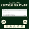 Rasayanam Ashwagandha Ksm-66 Capsules For Stress | Energy & Recovery (180 Capsules | Pack Of 3)