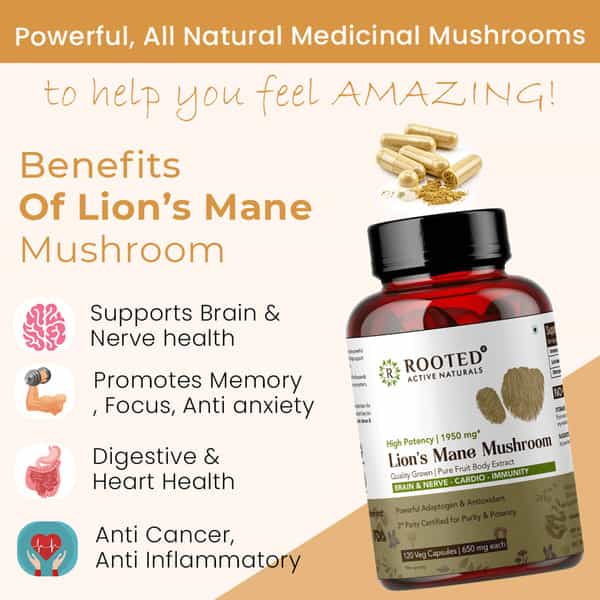 Rooted Actives- Lions Mane Mushroom Extract 1950Mg* - Pure Fruit Body Extract - 120 Veg Capsules
