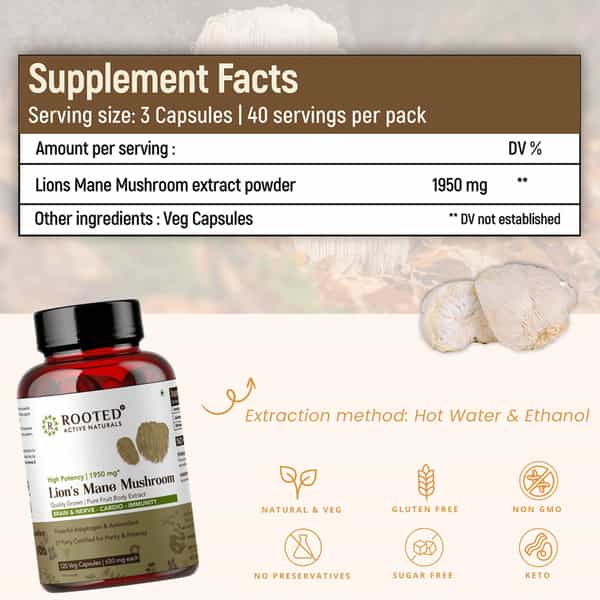 Rooted Actives- Lions Mane Mushroom Extract 1950Mg* - Pure Fruit Body Extract - 120 Veg Capsules
