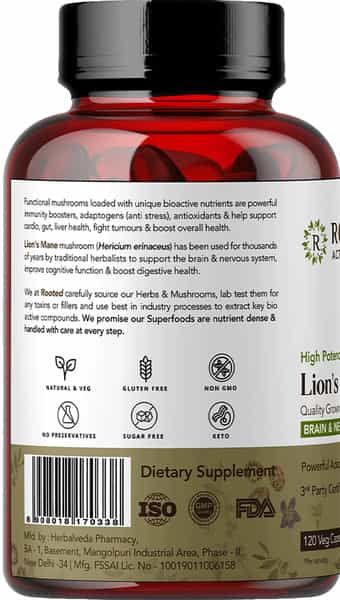 Rooted Actives- Lions Mane Mushroom Extract 1950Mg* - Pure Fruit Body Extract - 120 Veg Capsules