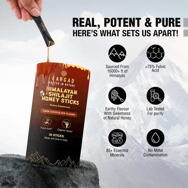 Bargad Himalayan Shilajit Honey Sticks (Dark Chocolate Flavor) - 30 Sticks