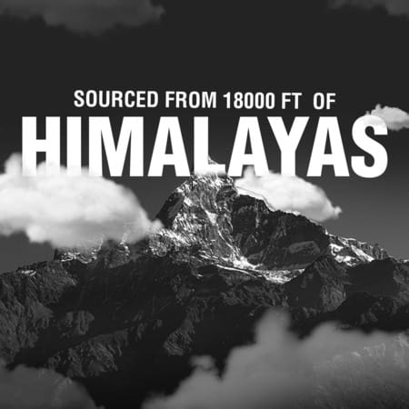 Bargad Himalayan Shilajit Honey Sticks (Dark Chocolate Flavor) - 30 Sticks