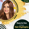 Streax Ultralights Highlighting Kit - Soft Blonde (40Gm+40Ml)