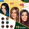 Streax Ultralights Highlighting Kit - Soft Blonde (40Gm+40Ml)