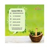 Axiom Punarnava Panchang Juice|Helpful For Liver Problems|Helpful In Urinary Infections -500Ml