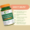 Pure Nutrition Ashwaginseng