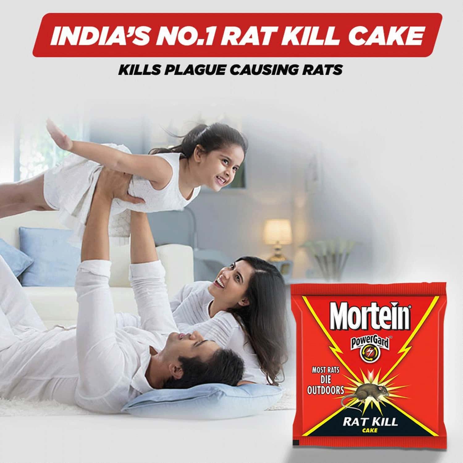 Buy MORTEIN POWERGARD RAT KILL CAKE 100G PACK Online & Get Upto 60