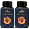 Fij Ayurveda Shilajit/Shilajeet Capsule Supports Vigor & Vitality - 500mg 60 Capsules (Pack Of 2)