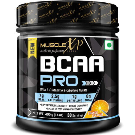 Musclexp Premium Muscle Building Combo|Whey Gold Pouch 1kg|Salmon Fish Oil 60 Softgels|Bcaa Pro 400g