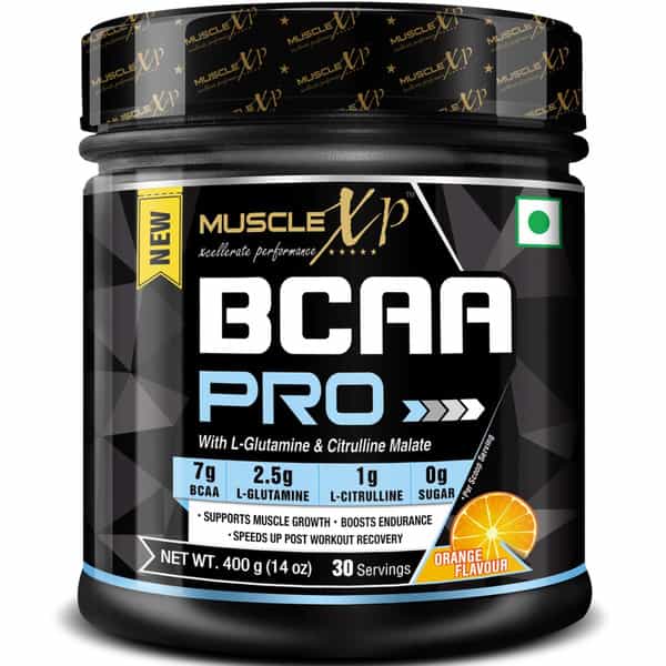 Musclexp Premium Muscle Building Combo|Whey Gold Pouch 1Kg|Salmon Fish Oil 60 Softgels|Bcaa Pro 400G