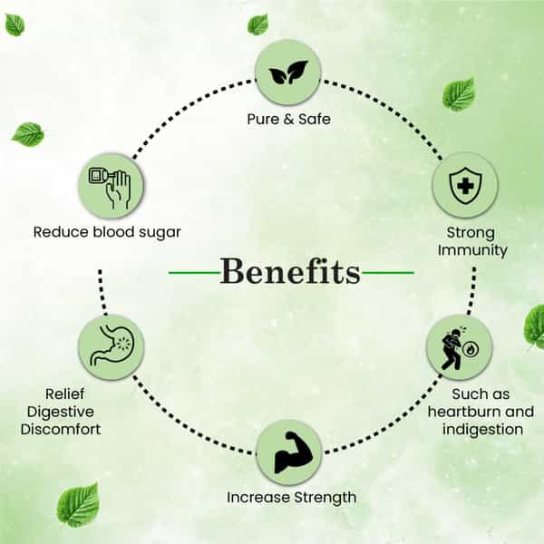 Cipzer Karela Capsule Maintain Normal Blood Glucose Metabolism & Regulate Sugar Levels 60 Capsules