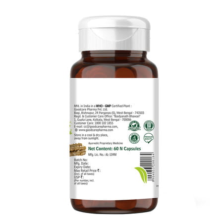Goodcare Allergy Guard | Adults | Herbal Formula | 60 Capsules | Pack Of 1