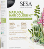 Sesa Natural Hair Colour Kit - 3 Step Kit - Natural Black 40Ml + 200Gm