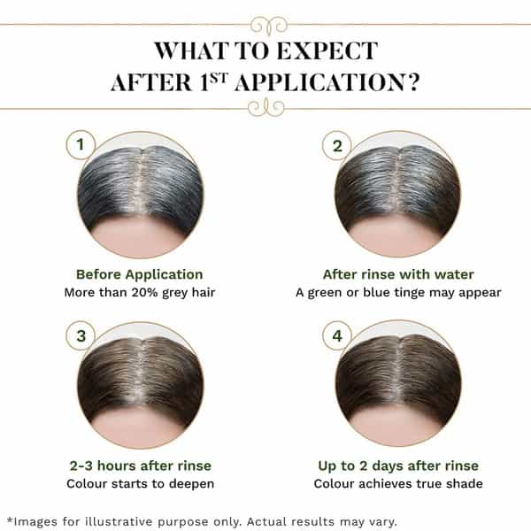 Sesa Natural Hair Colour Kit - 3 Step Kit - Natural Black 40Ml + 200Gm