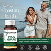 Goodcare Pros Guard 60 Caps | Ayurvedic Prostate Support | Relieves Swelling | Burning & Urine Flow