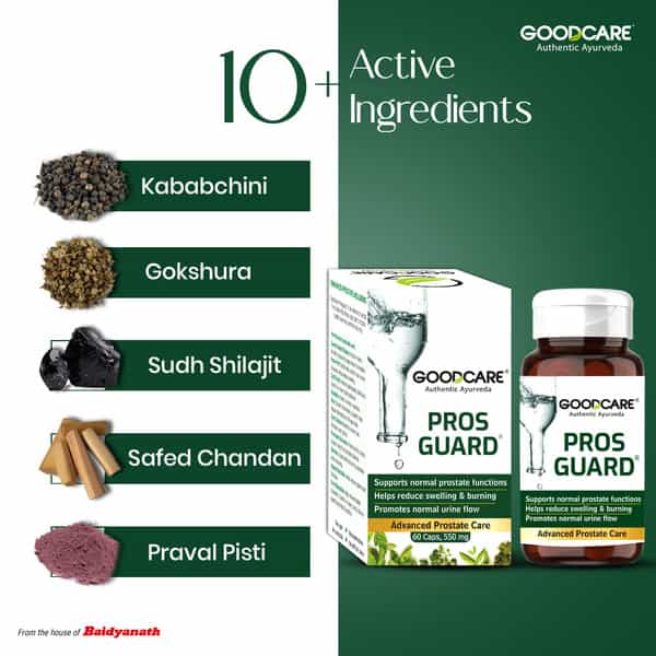 Goodcare Pros Guard 60 Caps | Ayurvedic Prostate Support | Relieves Swelling | Burning & Urine Flow