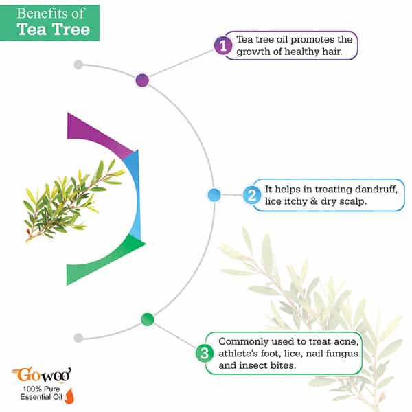 Pack Of 2 Tea Tree Essential Oil & Bhringraj Carrier Oil - 100% Natural Therapeutic Grade