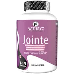 Naturyz Jointe With 1500mg Glucosamine, 400mg Chondroitin & 400mg Msm For Joint Support (60 Tablets)