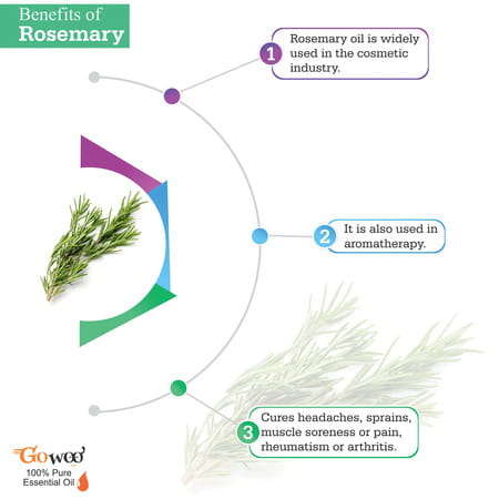 Go Woo 100% Pure Rosemary Oil - Therapeutic Grade 50 Ml