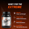 Muscleblaze Fuel One Black With 3 G Creapure & Added Testosterone Blend (Chocolate | 750 G / 1.6 Lb)