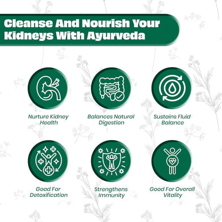 Jeena Sikho Dr. Bp Care Ds | Maintain Heart Health | Helps Control Blood Pressure | 60 Tablets