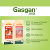 Medisynth Gasgan Forte Drops | Homeopathic Medicine For Acidity & Indigestion | B.no. 174 | 30Ml X2
