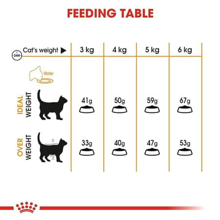 Royal Canin Hair & Skin Care Cat Food | 2 Kg | Dry Food | Supports Healthy Skin And Shiny Coat
