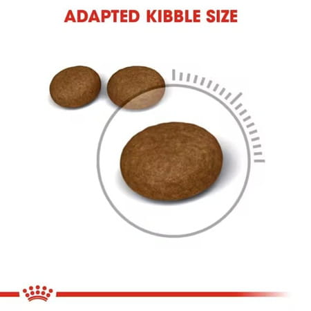 Royal Canin Hair & Skin Care Cat Food | 2 Kg | Dry Food | Supports Healthy Skin And Shiny Coat