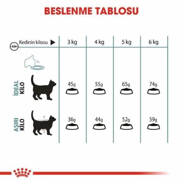 Royal Canin Intense Hairball 34 Cat Food