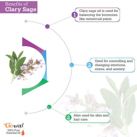 Go Woo 100% Pure Clary Sage Oil - Virgin & Undiluted For Skin Care & Hair 50 Ml
