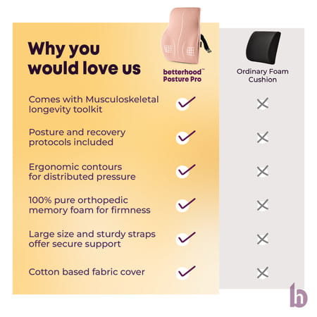 Betterhood Peach Memory Foam Ergonomic Lumbar Support Backrest Cushion For Chair