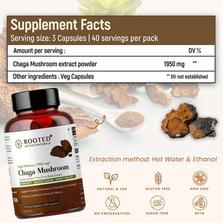 Rooted Actives - Chaga Mushroom Extract 1950mg* - Pure Fruit Body Extract - 120 Veg Capsules