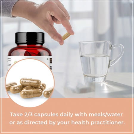 Rooted Actives - Chaga Mushroom Extract 1950mg* - Pure Fruit Body Extract - 120 Veg Capsules