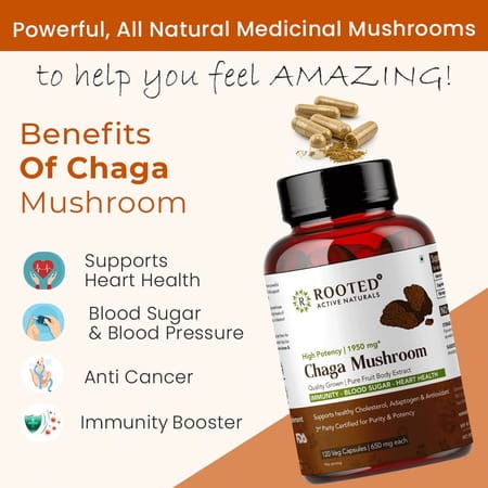 Rooted Actives - Chaga Mushroom Extract 1950mg* - Pure Fruit Body Extract - 120 Veg Capsules