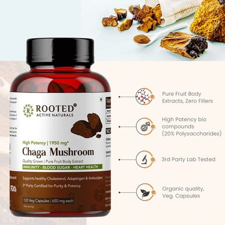 Rooted Actives - Chaga Mushroom Extract 1950mg* - Pure Fruit Body Extract - 120 Veg Capsules